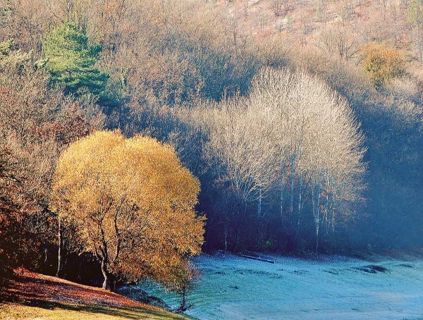 Когда же зима, осень плакалась, маялась