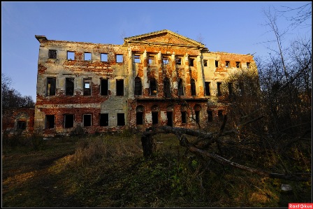 Покинутые гнёзда