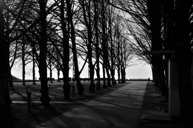 Малое в большом - 2017, ноябрь