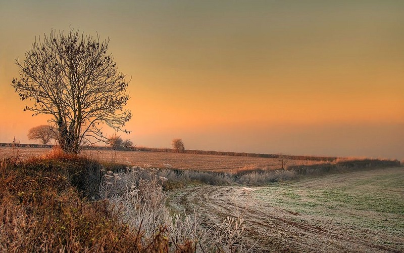 Скучать оставив...