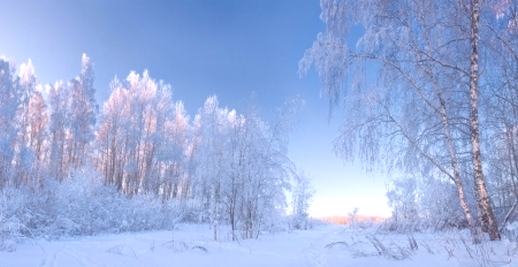 Зима торопится, бежит