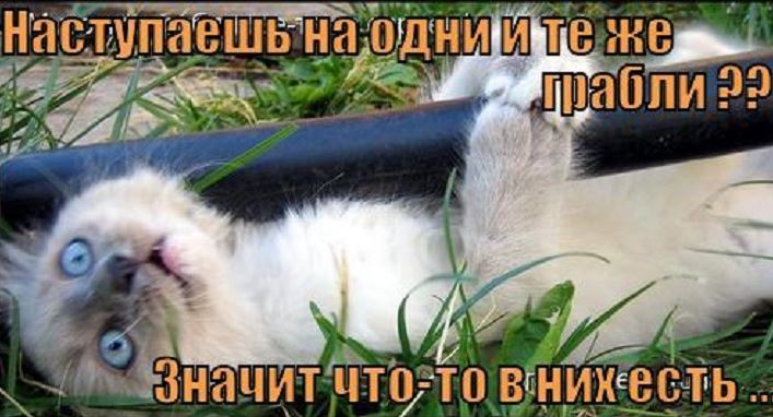 У каждого свой взгляд!