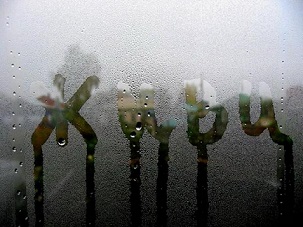 Не пытаясь изменить погоду