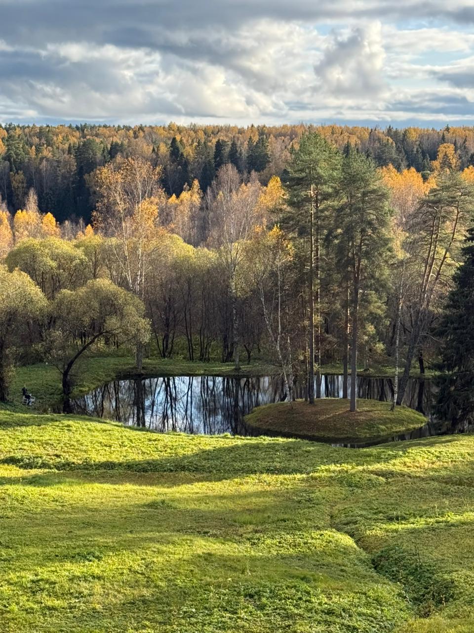Гамма чувств