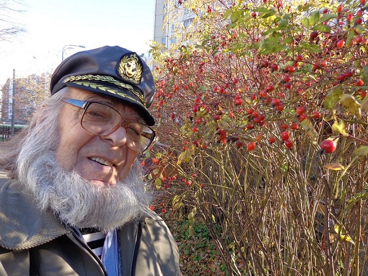 Над кустом шиповника в цветах!