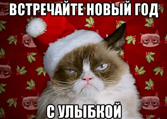 Кот в новогодней шапочке мем Грустный праздник, Новый год... (Борис Вязовец Тексты Песен Поэзи) / Стихи.ру