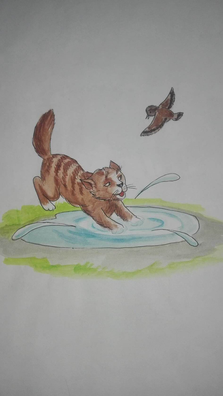 Чистюля воробей