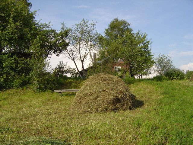 Утро на даче