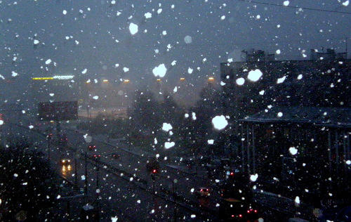 Зимы начало. Серое