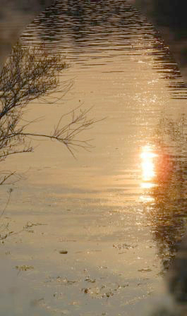 Подводный свет сказка