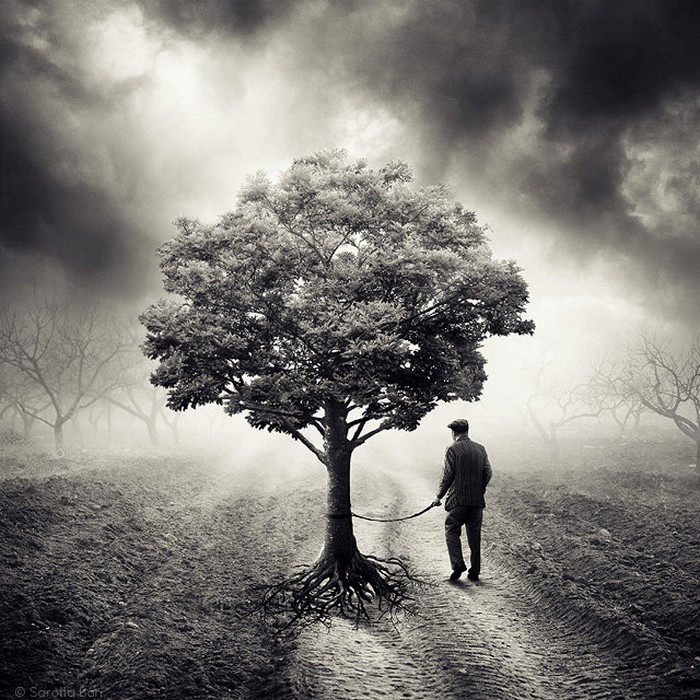 почти приснившиеся