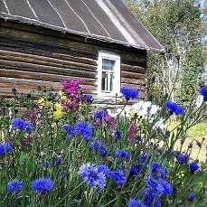 Родительский дом