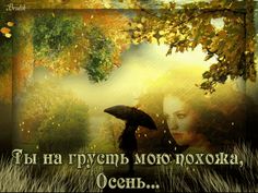 Осенние раздумья