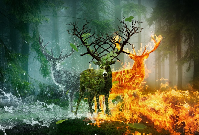 Не убивайте жизнь