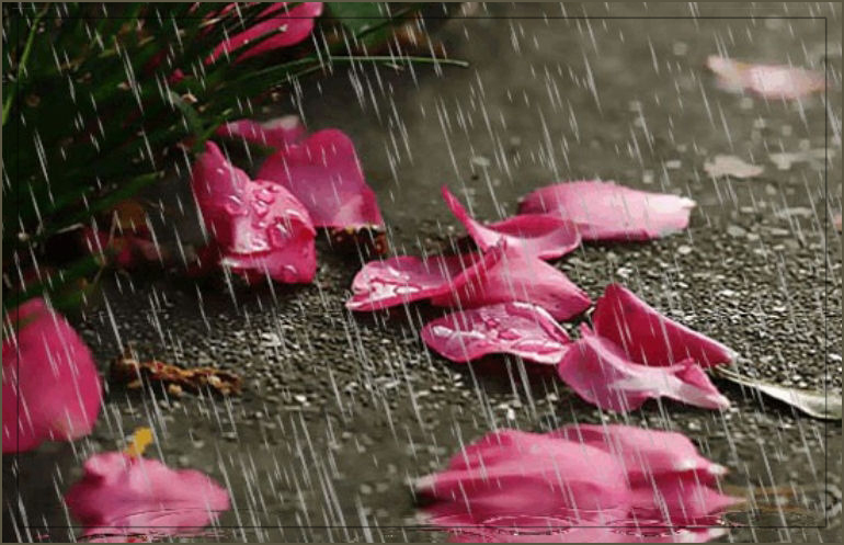 Дождь плакал от любви прошедшей