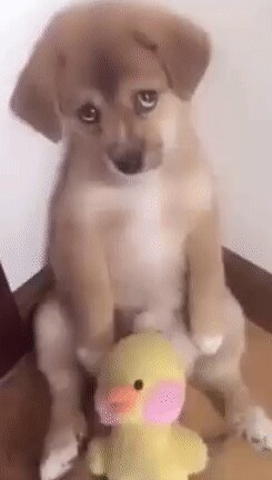 Просто няшка!