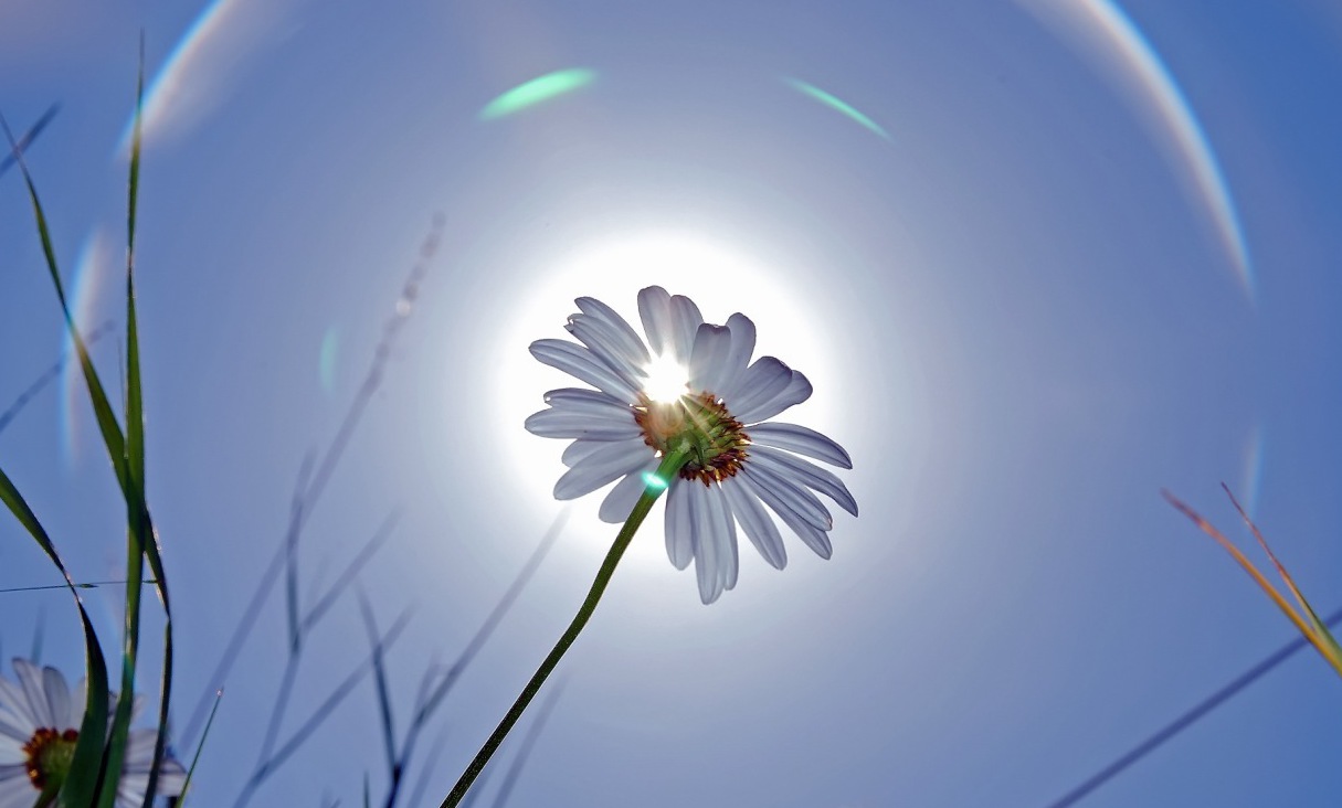 Констатация факта