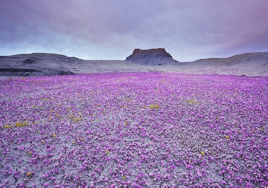 Представь себе...