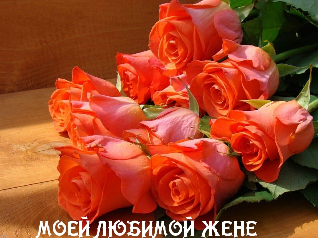 Моей любимой жене