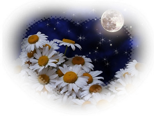 Только для тебя Поэзия Авторская песня