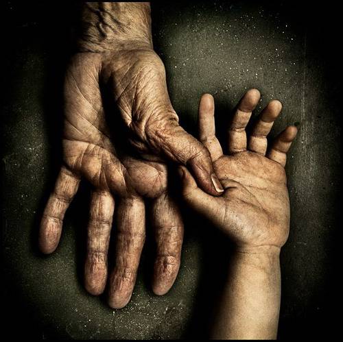 5. 12. 2017 Только нужно уберечь