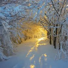 Хочется зимы