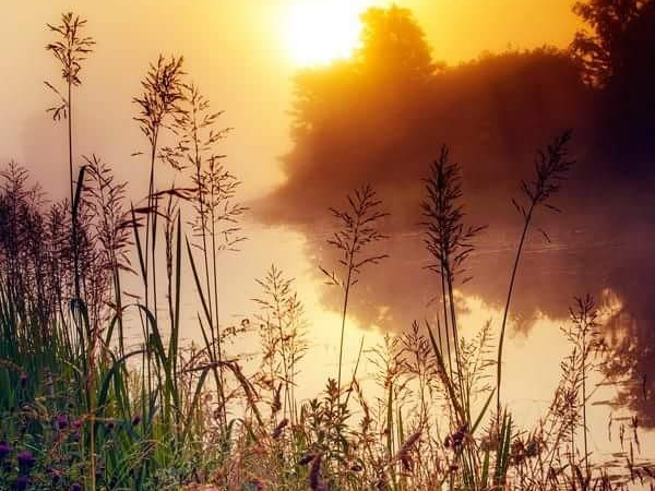 Мой светлый рай