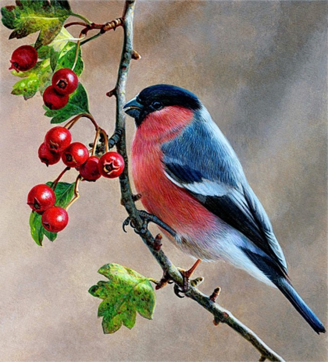 Мой друг родился в декабре