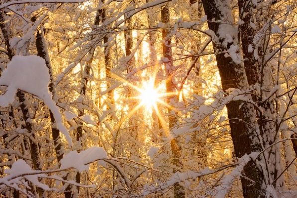 Природа счастья