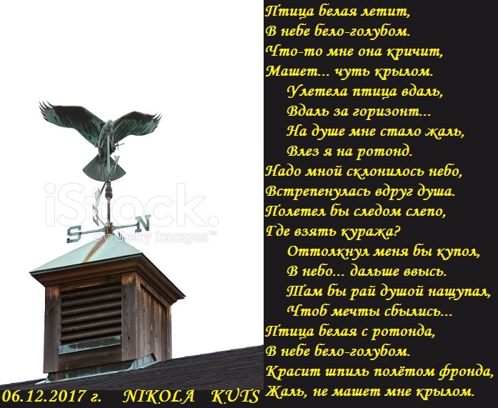 Летели две птички. Летят перелётные птицы текст песни. Прости и мы летим вместе с птицами. Лететь как птица текст. Текст песни летели две птички ростом невелички.