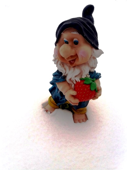 Мой друг садовый Гном