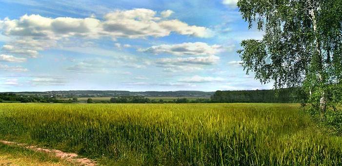 Россия - край родной