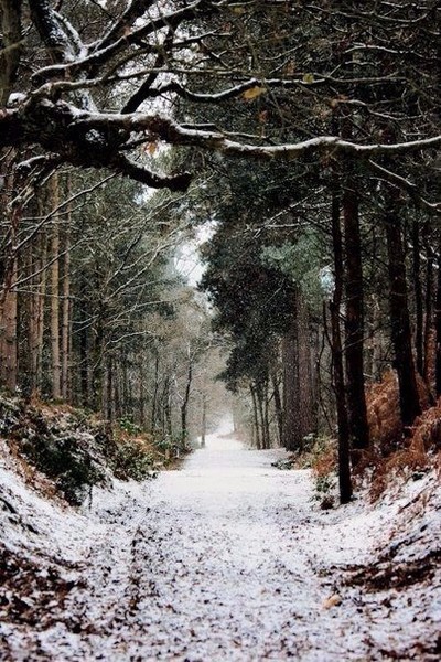 На камушке студеном посижу