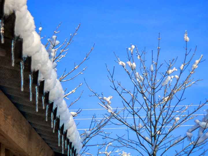 Пляшэм толька ли канканы