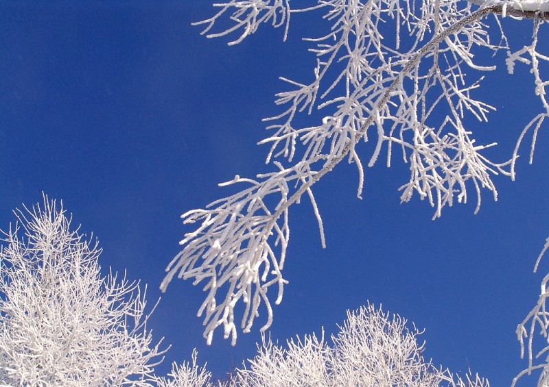 Господи, какая благодать!