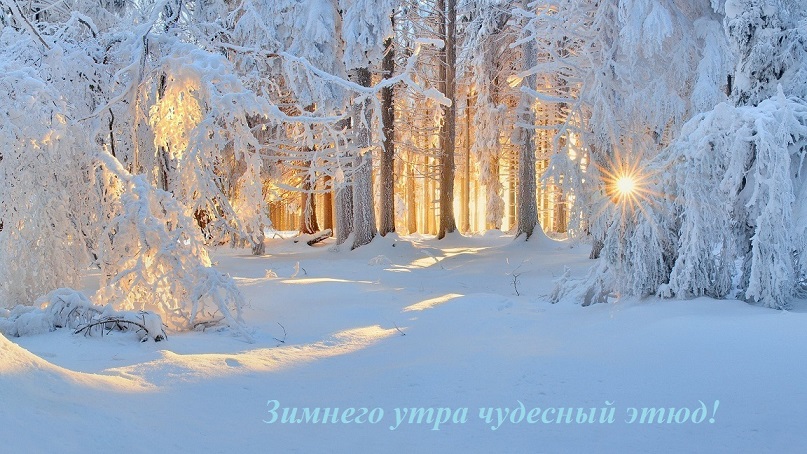 Зимнего утра чудесный этюд!