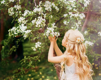 Вдохновенья звон