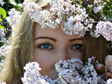 Белая сирень