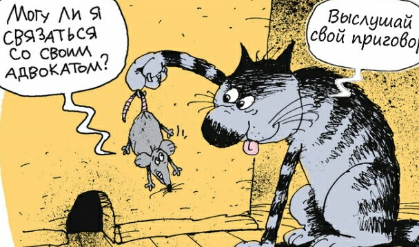 3430 Кошки- мышки