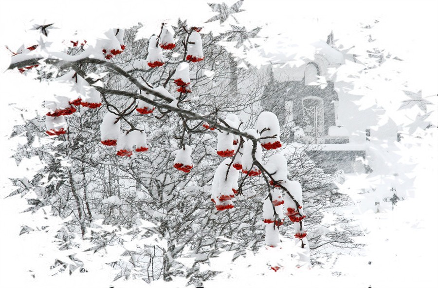 Зима пришла