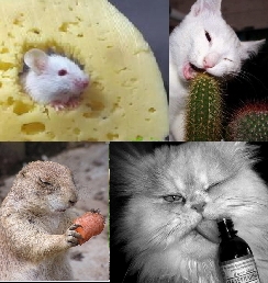 Точка соприкосновения! ч. 1