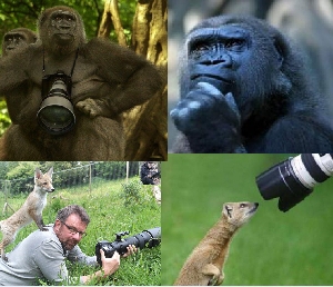 Точка соприкосновения! ч2