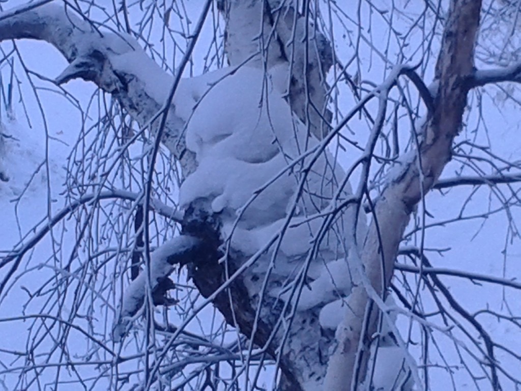 Шёл по веткам снег к избушке...