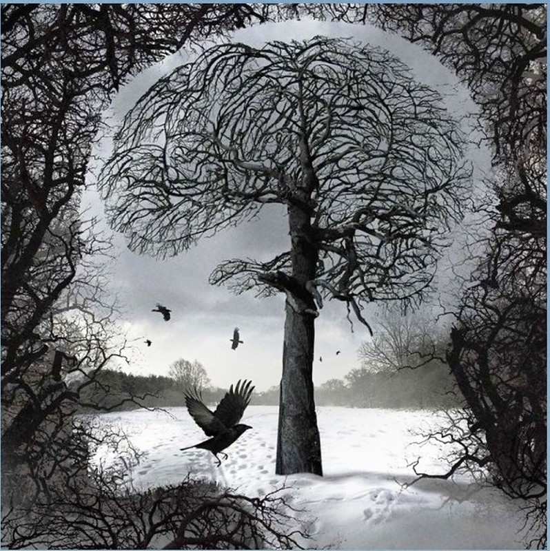 А кто любит зиму?