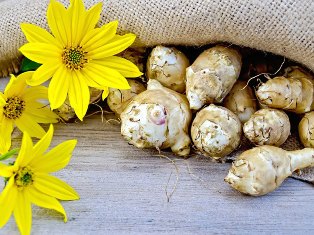 Топинамбур