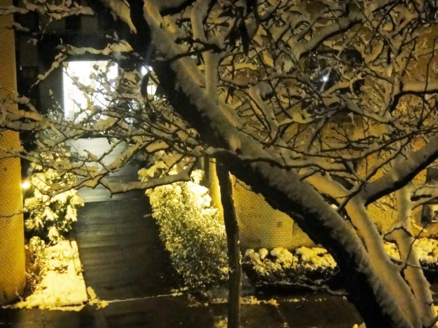 Зимнее ассорти