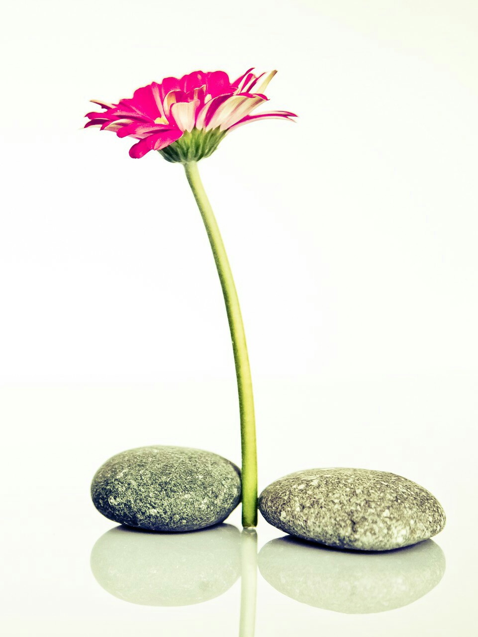 И боль уходит постепенно...