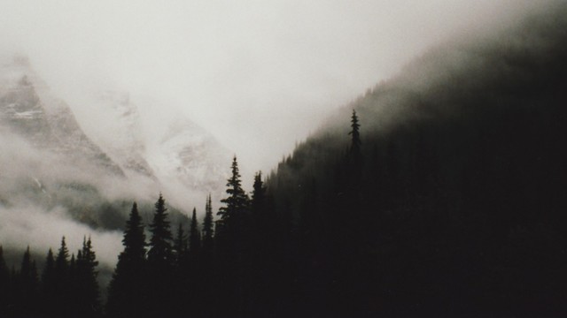 Счастья нет и не будет