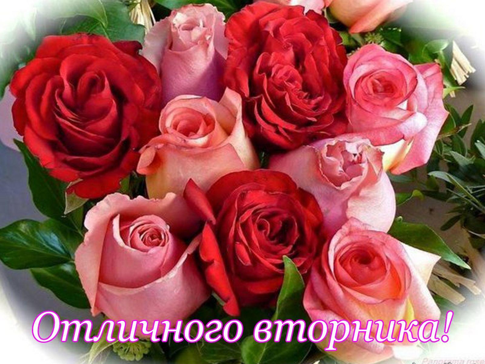 Прекрасного вторника и отличного настроения