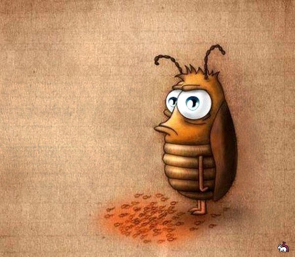 Весёлые тараканы